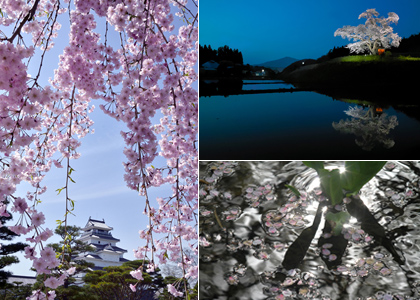 AP通信が捉えた世界