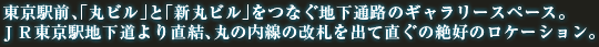 東京駅前、「丸ビル」と「新丸ビル」をつなぐ地下通路のギャラリースペース。JR東京駅地下道より直結、丸の内線の改札を出て直ぐの絶好のロケーション。